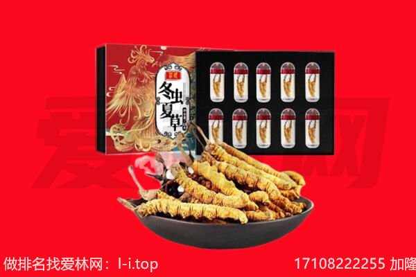 江门恩平市回收虫草.jpg